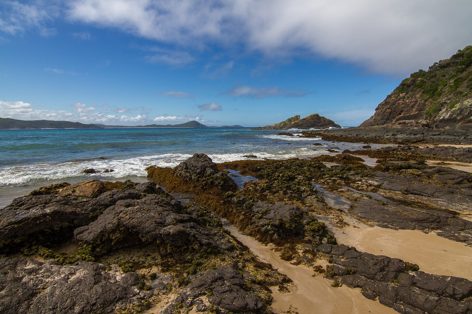 Seal Rocks